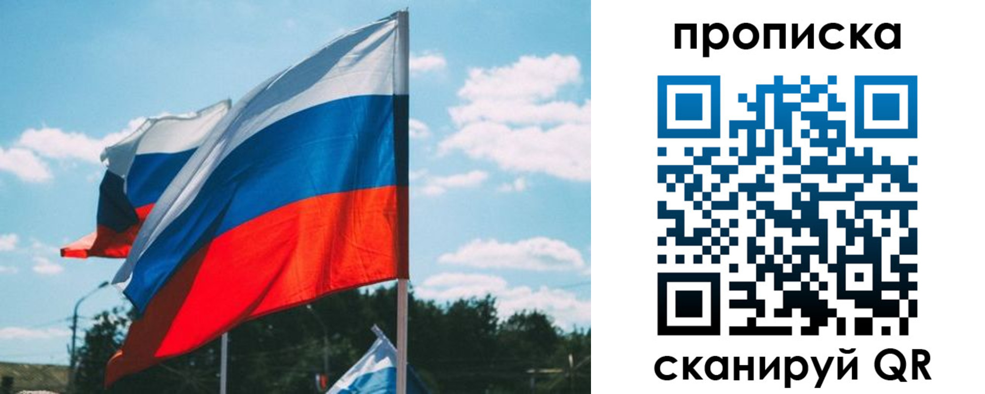 прописка поиск в Камешково